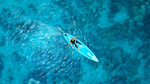 From Marshes to Dolphins: A Beginner’s Guide to Kayaking Charleston Waters
